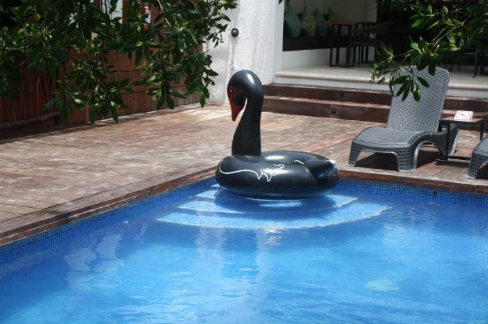 hotel casa hx adults only