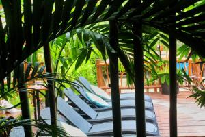 hotel casa hx adults only