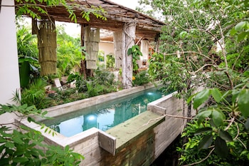 orchid house tulum