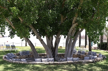 gomeh by isrotel design