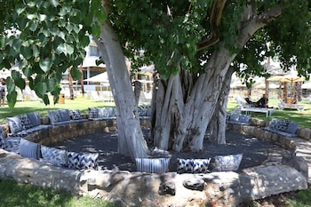 gomeh by isrotel design