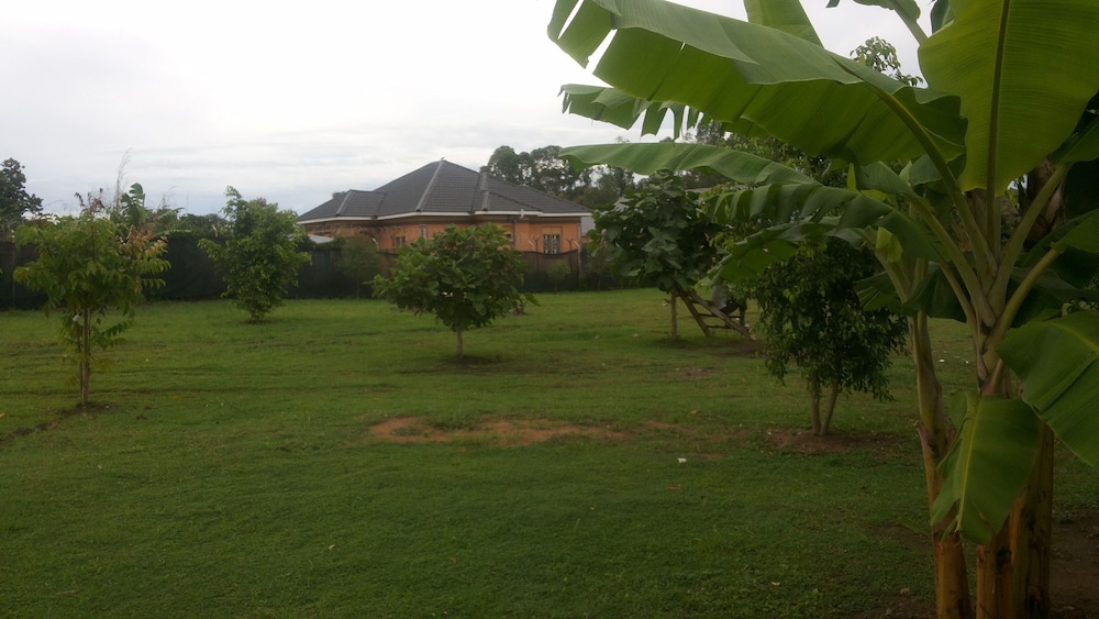 lavic country resort