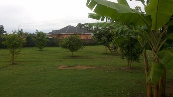 lavic country resort