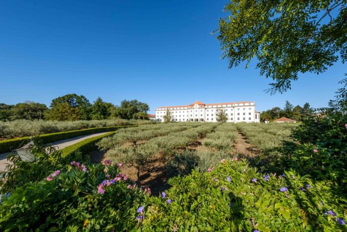 sdivine fatima hotel congress and spirituality