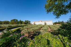 sdivine fatima hotel congress and spirituality