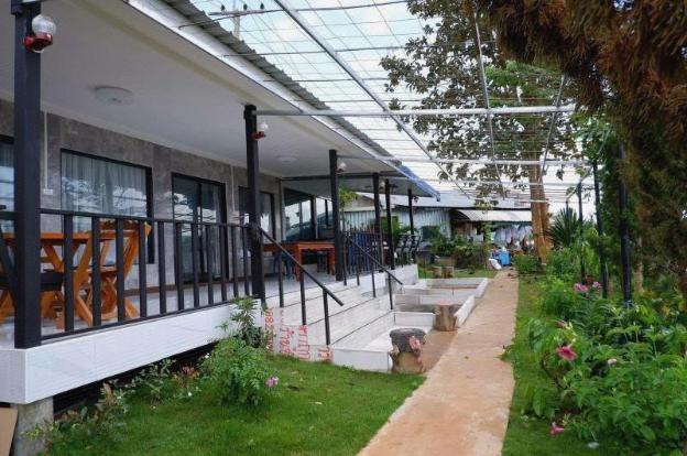 resort sabaijai khaokho