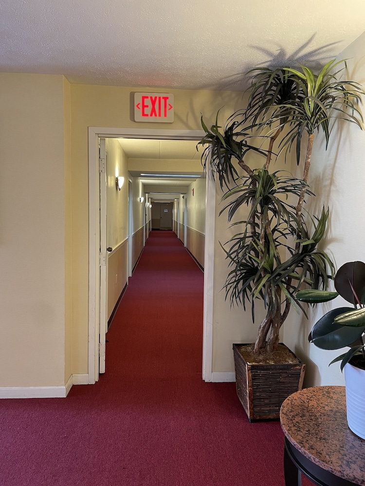 gold star inn and suites