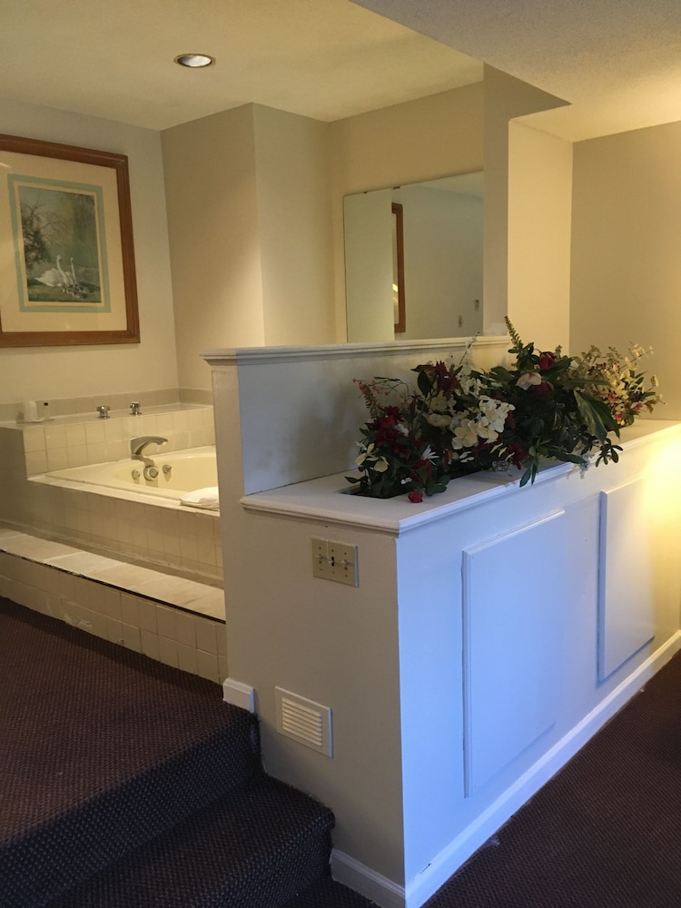 gold star inn and suites