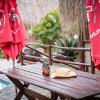 east africa safaris