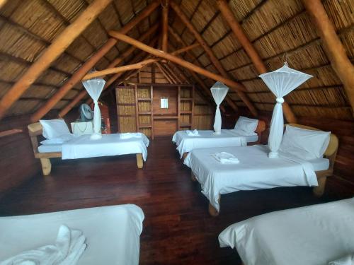 east africa safaris