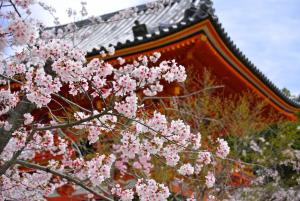 stay sakura kyoto gion north