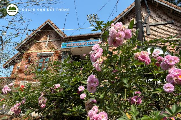 khach san doi thong