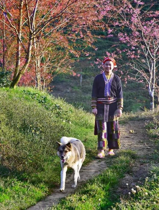 sapa dao homestay