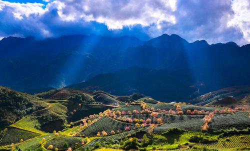 sapa dao homestay