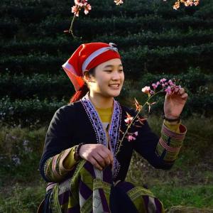 sapa dao homestay