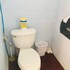 williams az hostel