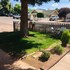 williams az hostel
