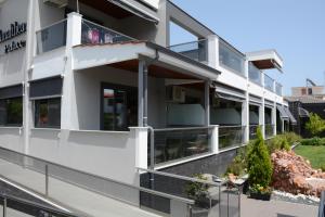 amalia center