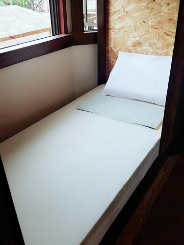 spinning cat hostel adults only