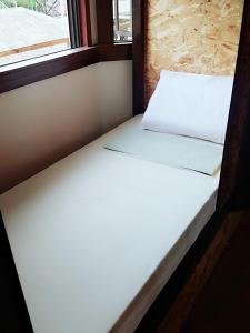 spinning cat hostel adults only