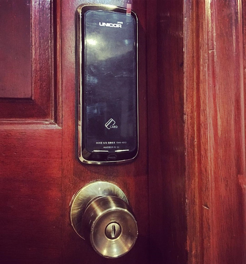 spinning cat hostel adults only