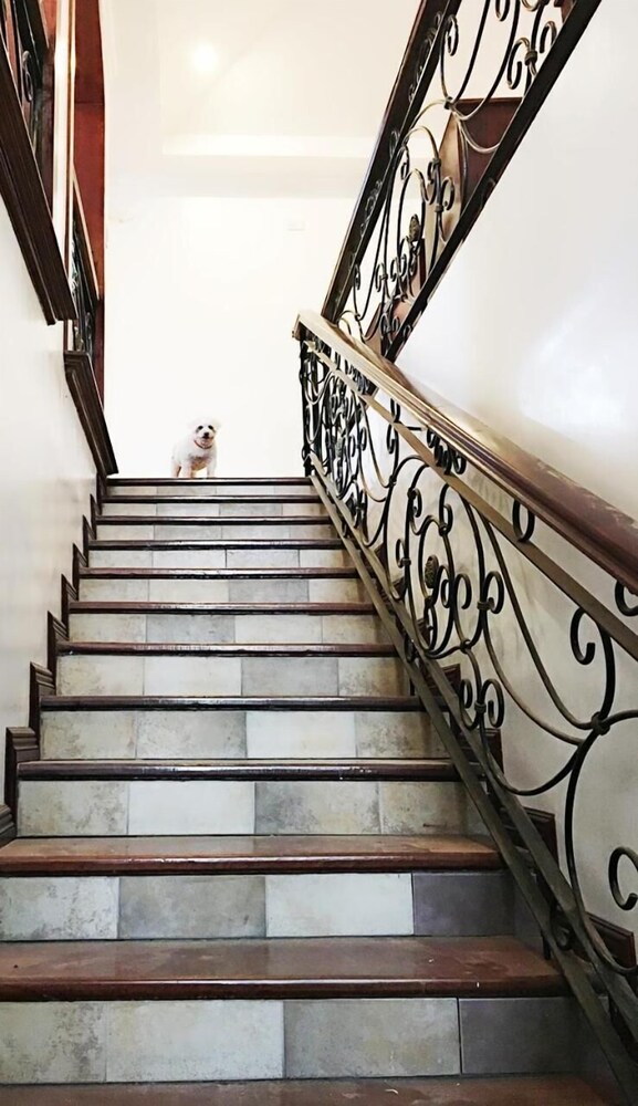 spinning cat hostel adults only