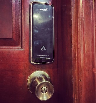 spinning cat hostel adults only