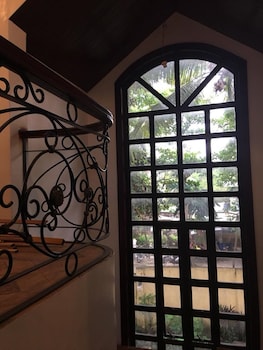 spinning cat hostel adults only