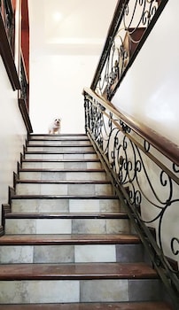 spinning cat hostel adults only