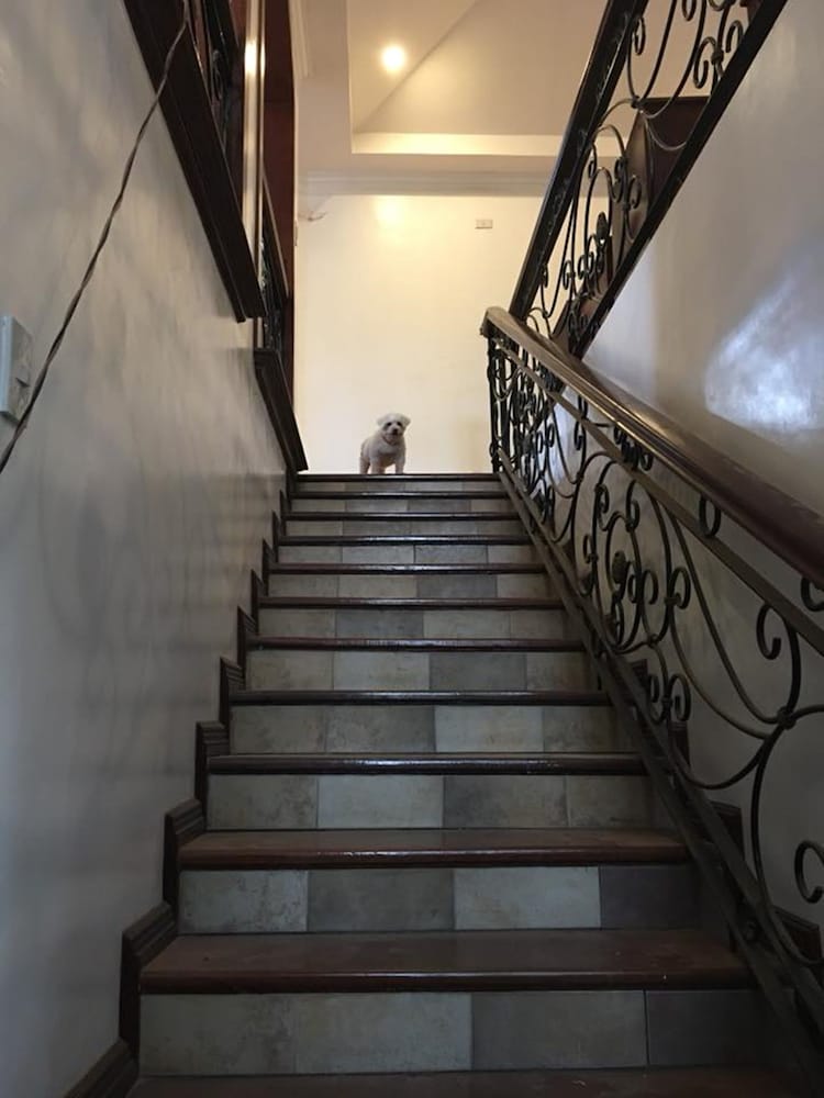 spinning cat hostel adults only