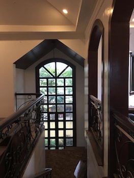 spinning cat hostel adults only