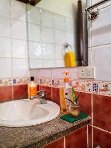 spinning cat hostel adults only