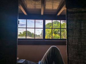 spinning cat hostel adults only