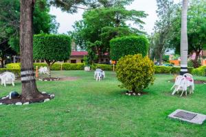 kasese