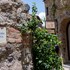 villa toscana valquirico lofts and suites hotel boutique