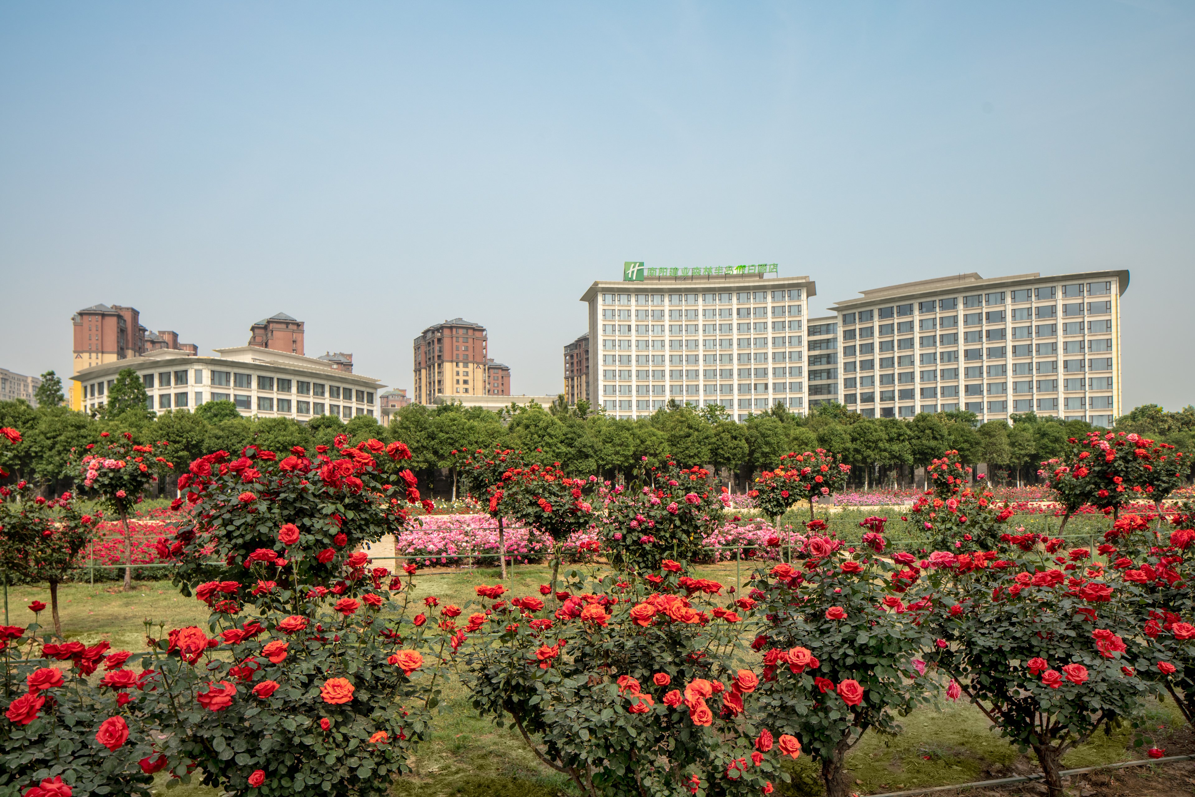 nanyang
