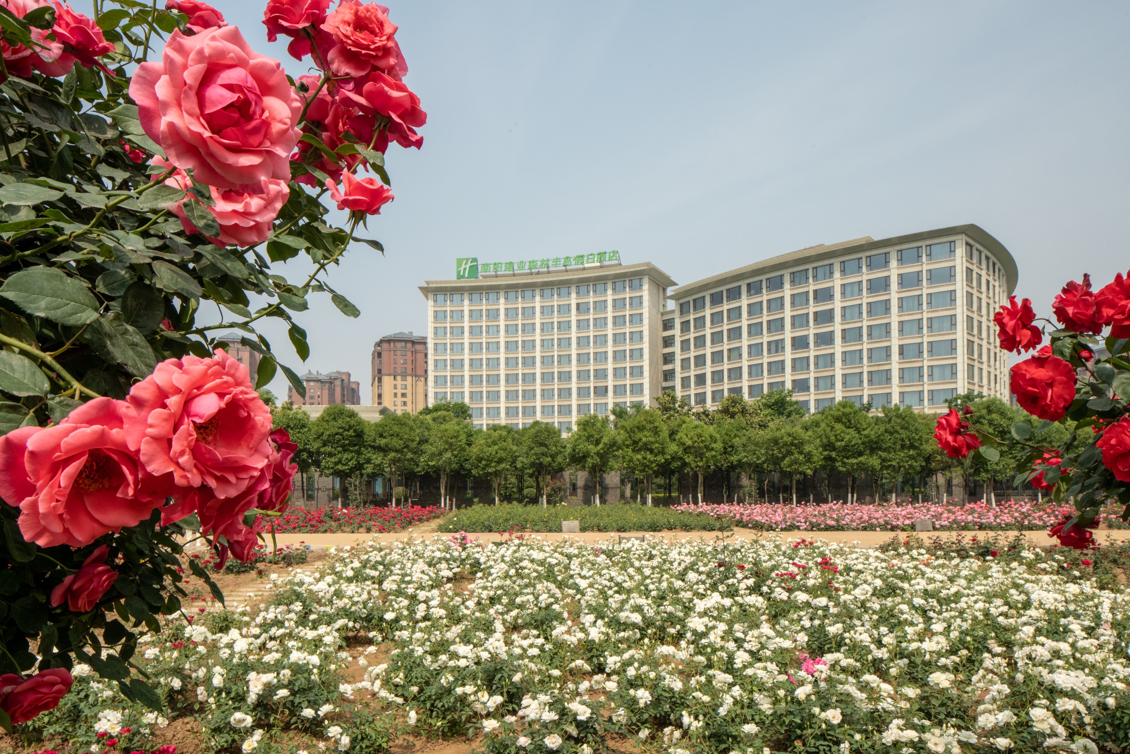 holiday inn nanyang by ihg