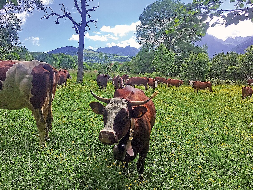 saint paul en chablais