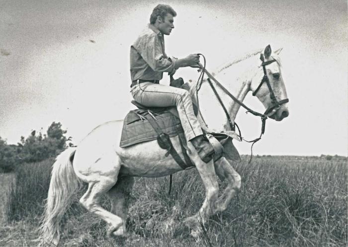 hotel le neptune en camargue
