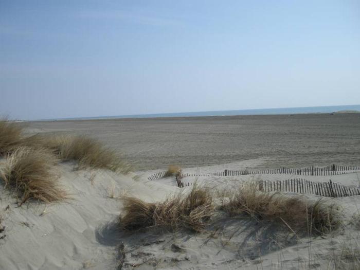 hotel le neptune en camargue