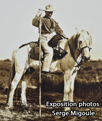 hotel le neptune en camargue