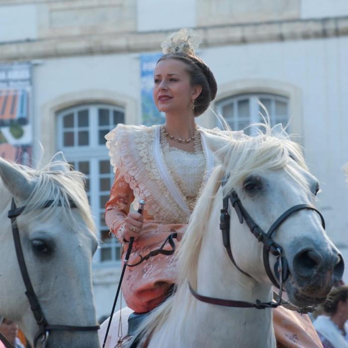 hotel le neptune en camargue
