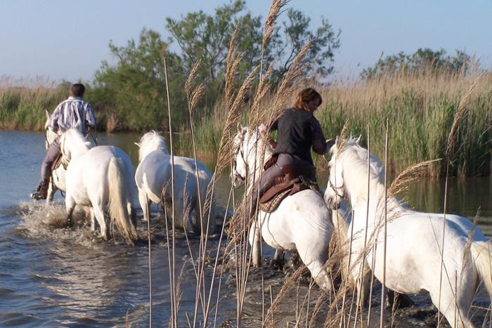 hotel le neptune en camargue