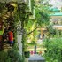smile resort