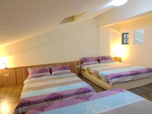 sunny forest homestay