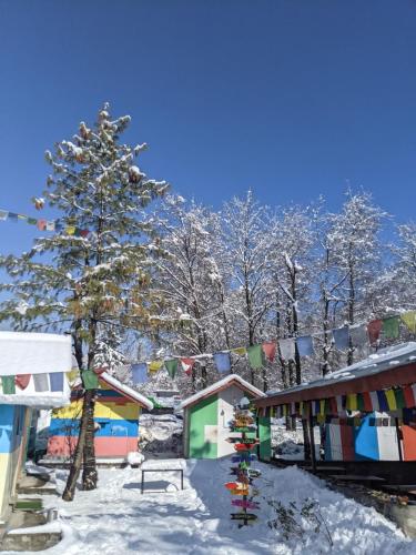 manali