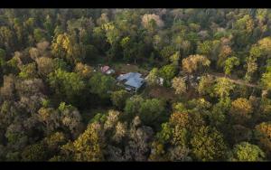coorg wild walk cgh earth saha
