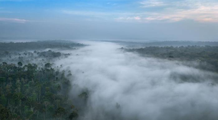 coorg wild walk cgh earth saha