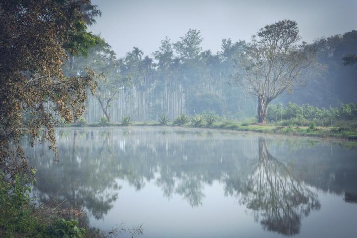 coorg wild walk cgh earth saha