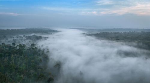 coorg wild walk cgh earth saha